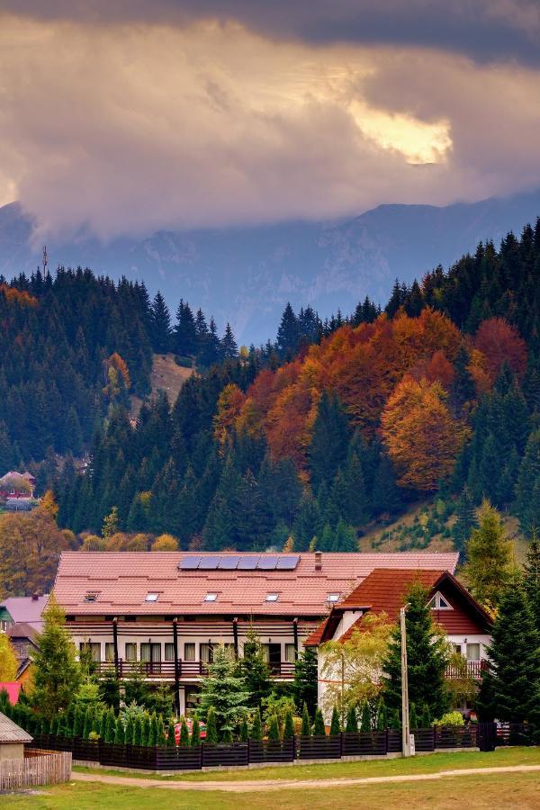 Casa Muntelui Hotel Fundáta Kültér fotó